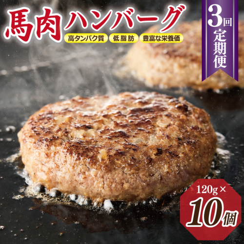 【定期便】 桜文 馬肉ハンバーグ 120ｇ×10個 全3回 【毎月配送コース】 099Z316 2111236 - 大阪府泉佐野市