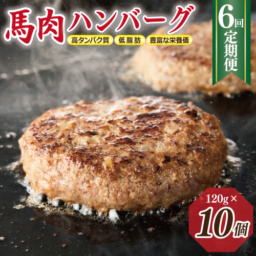 【定期便】 桜文 馬肉ハンバーグ 120ｇ×10個 全6回 【毎月配送コース】 099Z318 2111237 - 大阪府泉佐野市