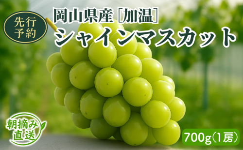 【2025年先行予約】［加温］岡山県産シャインマスカット 700g（１房入） 2111425 - 岡山県鏡野町