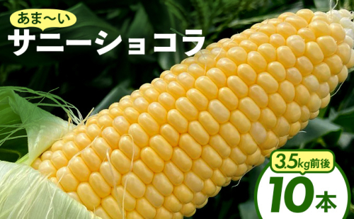 上品な甘さのトウモロコシ「サニーショコラ」(3.5kg前後・10本) 2111426 - 福岡県篠栗町