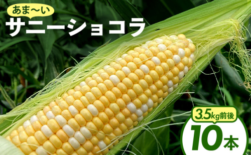 上品な甘さのトウモロコシ「サニーショコラ」(3.5kg前後・10本) 2111426 - 福岡県篠栗町