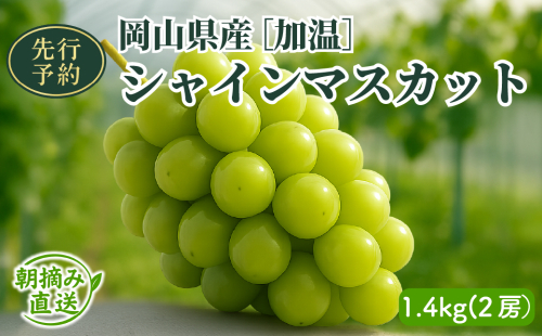 【2025年先行予約】［加温］岡山県産シャインマスカット 1.4kg（２房入） 2111444 - 岡山県鏡野町