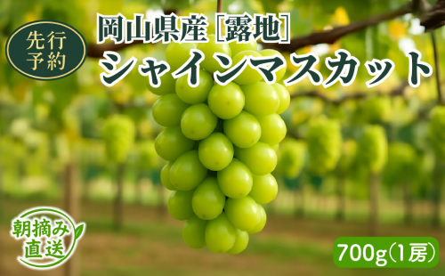 【2025年先行予約】［露地］岡山県産シャインマスカット 700g（１房入） 2111445 - 岡山県鏡野町