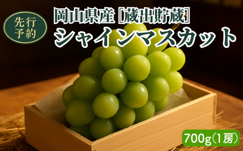 【2025年先行予約】［貯蔵蔵出］岡山県産シャインマスカット 700g（１房入） 2111450 - 岡山県鏡野町