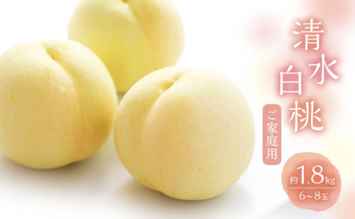 桃 2025年 数量限定 白桃 清水白桃  約1.8kg 6～8玉 ご家庭用 フルーツ 果物 岡山 赤磐市産 2111661 - 岡山県赤磐市