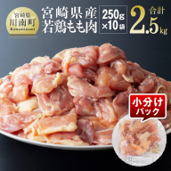 【小分け】宮崎県産若鶏　もも肉2.5kg（250g×10袋） 【 肉 鶏肉 精肉 小分け 便利 若鶏 もも 九州産 宮崎県産 川南町 おうちごはん 送料無料 】