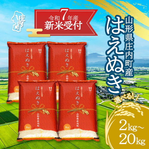 【新米受付 10月発送】R7年産 はえぬき 選べる内容量！ 2kg/5kg/10kg/15kg/20kg（入金期限：2025.9.15）新米 新米予約 先行受付 令和7年産米 米 山形県 2111767 - 山形県庄内町