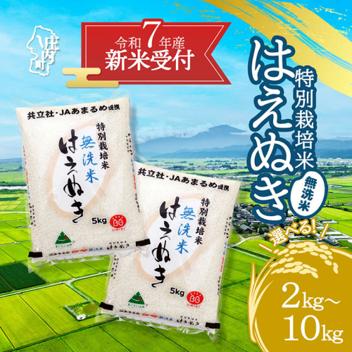 【新米受付 10月発送】R7年産 特別栽培米 はえぬき無洗米 選べる内容量！ 2kg/5kg/10kg（入金期限：2025.9.15）新米 新米予約 先行受付 令和7年産米 米 山形県 2111803 - 山形県庄内町