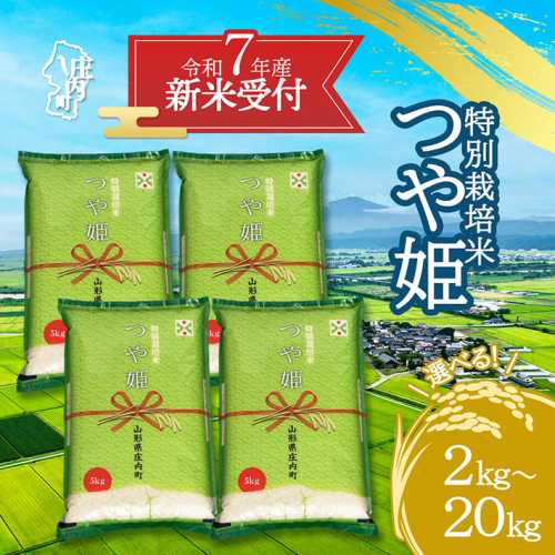 【新米受付 10月発送】R7年産 つや姫 選べる内容量！ 2kg/5kg/10kg/15kg/20kg（入金期限：2025.9.15）新米 新米予約 先行受付 令和7年産米 米 山形県 2111804 - 山形県庄内町