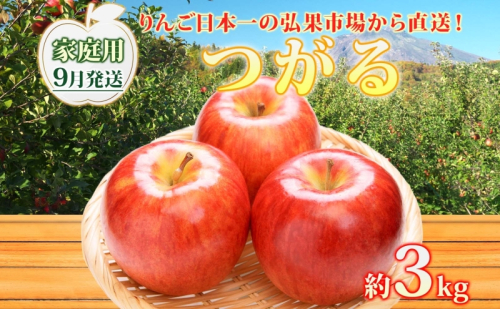 【9月発送】 家庭用 つがる 約3kg リンゴ 林檎 家庭用 りんご 皮ごと 甘い 酸味 シャキシャキ デザート フルーツ 果物 お取り寄せ 産地直送 旬 季節限定 弘果物流 青森県 西目屋村  西目屋村産 青森りんご 2111805 - 青森県西目屋村