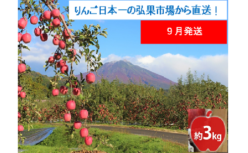 【9月発送】家庭用 つがる 約3kg【西目屋村産・青森りんご】 りんご 林檎 リンゴ 果物 フルーツ くだもの 旬 青森県産 お取り寄せ 詰め合わせ セット 常温 産地直送 送料無料 青森県 西目屋村 2111805 - 青森県西目屋村