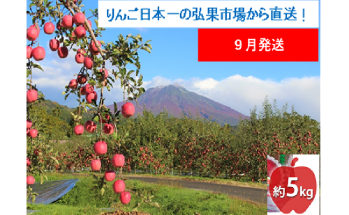【9月発送】家庭用 つがる 約5kg【西目屋村産・青森りんご】 りんご 林檎 リンゴ 果物 フルーツ くだもの 旬 青森県産 お取り寄せ 詰め合わせ セット 常温 産地直送 送料無料 青森県 西目屋村 2111806 - 青森県西目屋村