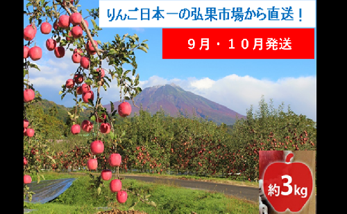 【9月・10月発送】贈答用 早生ふじ 約3kg【西目屋村産・青森りんご】 りんご 林檎 リンゴ 果物 フルーツ くだもの 旬 青森県産 お取り寄せ 詰め合わせ セット 常温 産地直送 送料無料 青森県 西目屋村 2111807 - 青森県西目屋村