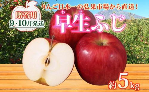 【9月・10月発送】贈答用 早生ふじ 約5kg【西目屋村産・青森りんご】 りんご 林檎 リンゴ 果物 フルーツ くだもの 旬 青森県産 お取り寄せ 詰め合わせ セット 常温 産地直送 送料無料 青森県 西目屋村 2111808 - 青森県西目屋村
