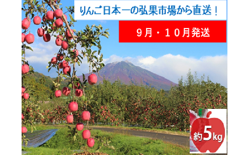 【9月・10月発送】贈答用 早生ふじ 約5kg【西目屋村産・青森りんご】 りんご 林檎 リンゴ 果物 フルーツ くだもの 旬 青森県産 お取り寄せ 詰め合わせ セット 常温 産地直送 送料無料 青森県 西目屋村 2111808 - 青森県西目屋村