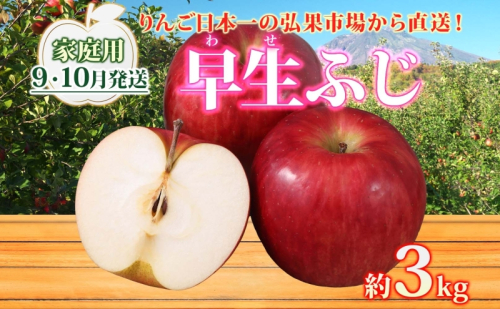 【9月・10月発送】家庭用 早生ふじ 約3kg リンゴ 林檎 りんご 皮ごと 甘い 酸味 シャキシャキ デザート フルーツ 果物 お取り寄せ 産地直送 旬 季節限定 弘果物流 青森県 西目屋村 西目屋村産 青森りんご 2111809 - 青森県西目屋村