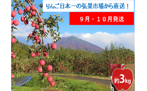 【9月・10月発送】家庭用 早生ふじ 約3kg【西目屋村産・青森りんご】 りんご 林檎 リンゴ 果物 フルーツ くだもの 旬 青森県産 お取り寄せ 詰め合わせ セット 常温 産地直送 送料無料 青森県 西目屋村 2111809 - 青森県西目屋村