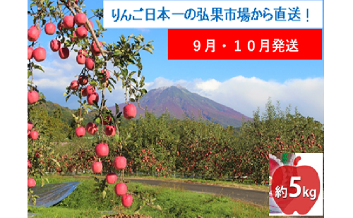 【9月・10月発送】家庭用 早生ふじ 約5kg【西目屋村産・青森りんご】 りんご 林檎 リンゴ 果物 フルーツ くだもの 旬 青森県産 お取り寄せ 詰め合わせ セット 常温 産地直送 送料無料 青森県 西目屋村 2111810 - 青森県西目屋村