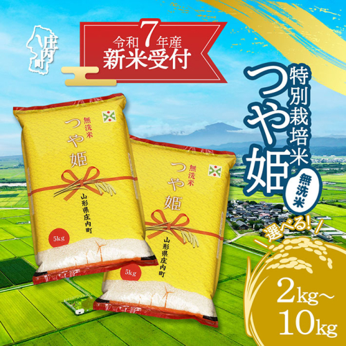 【新米受付 10月発送】R7年産 つや姫無洗米 選べる内容量！ 2kg/5kg/10kg（入金期限：2025.9.15）無洗米 新米 新米予約 先行受付 令和7年産米 米 山形県 2111813 - 山形県庄内町