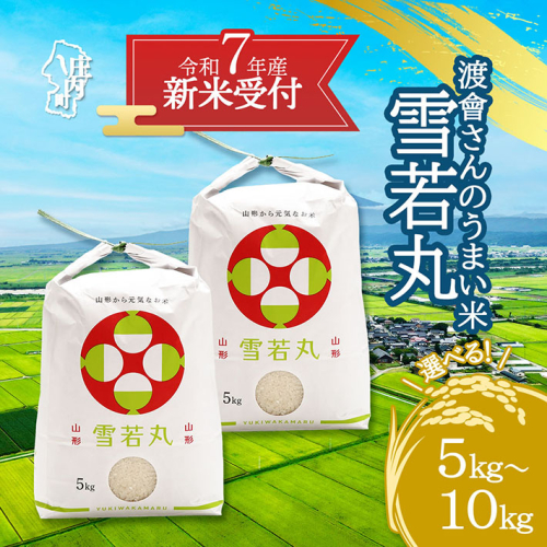 【新米受付 10月発送】R7年産 渡會さんのうまい米！雪若丸 選べる内容量！ 5kg/10kg（入金期限：2025.9.15）新米 新米予約 先行受付 令和7年産米 米 山形県 庄内町 2111942 - 山形県庄内町