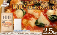 100% HOKKAIDO ピッツァ用粉 2.5kg 【 ふるさと納税 人気 おすすめ ランキング 小麦粉 パン ピザ ピッツァ 国産 北海道 HOKKAIDO 自宅用 江別製粉 北海道 豊浦町 送料無料 】 TYUAI022