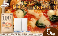 100% HOKKAIDO ピッツァ用粉 5kg 【 ふるさと納税 人気 おすすめ ランキング 小麦粉 パン ピザ ピッツァ 国産 北海道 HOKKAIDO 自宅用 江別製粉 北海道 豊浦町 送料無料 】 TYUAI023