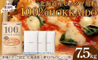 100% HOKKAIDO ピッツァ用粉 7.5kg 【 ふるさと納税 人気 おすすめ ランキング 小麦粉 パン ピザ ピッツァ 国産 北海道 HOKKAIDO 自宅用 江別製粉 北海道 豊浦町 送料無料 】 TYUAI024