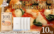 100% HOKKAIDO ピッツァ用粉 10kg 【 ふるさと納税 人気 おすすめ ランキング 小麦粉 パン ピザ ピッツァ 国産 北海道 HOKKAIDO 自宅用 江別製粉 北海道 豊浦町 送料無料 】 TYUAI025
