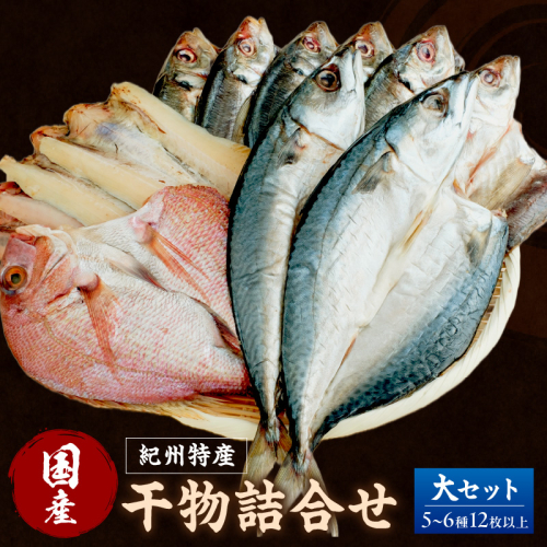 【国産】紀州特産干物詰合せ 大セット 2112218 - 和歌山県御坊市