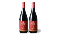 北海道上ノ国町 上ノ国ワイナリー「上の赤」　750ml×2本