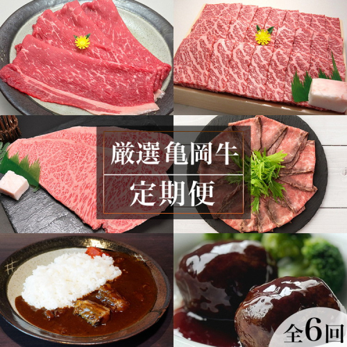 【全6回定期便】亀岡牛 定期便 亀岡牛専門店が厳選 お楽しみ 食べ比べ セット ≪冷凍 焼肉 すき焼き サーロイン ステーキ ローストビーフ 赤身 もも 肉 牛肉 国産牛 黒毛和牛 肉定期便 京都 丹波 BBQ 人気 おすすめ≫ ※離島への配送不可 2112319 - 京都府亀岡市