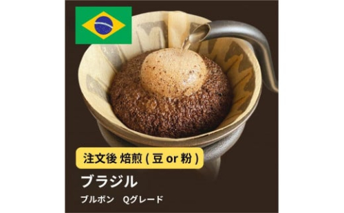 コーヒー #002 ブラジル ブルボン Qグレード コーヒー 310g 当日焙煎 大山珈琲 （豆または中挽きから選択） 2112548 - 大阪府堺市