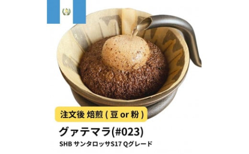 コーヒー #023 グァテマラSHB サンタロッサS17 310g 当日焙煎 大山珈琲 （豆または中挽きから選択） 2112550 - 大阪府堺市