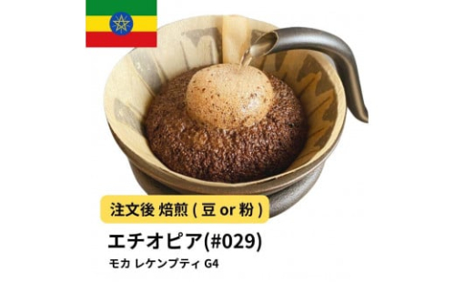 コーヒー #029 モカ レケンプティ G-4 エチオピア 310g 当日焙煎 大山珈琲 （豆または中挽きから選択） 2112551 - 大阪府堺市