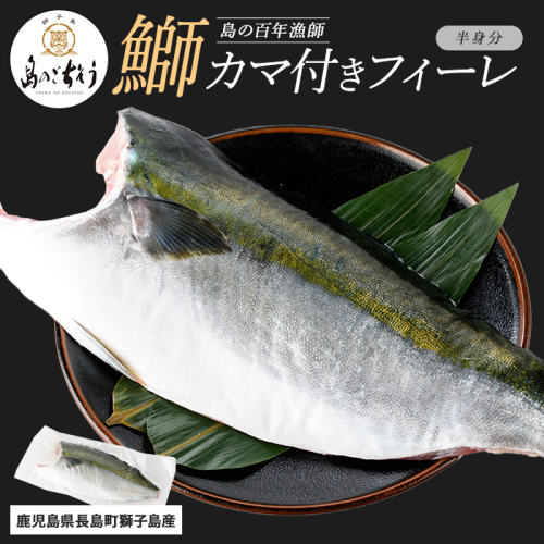 【先行予約】獅子島産 百年漁師の鰤 カマ付きフィーレ1パック (半身分) 【島のごちそう】gochi-1314 2112557 - 鹿児島県長島町