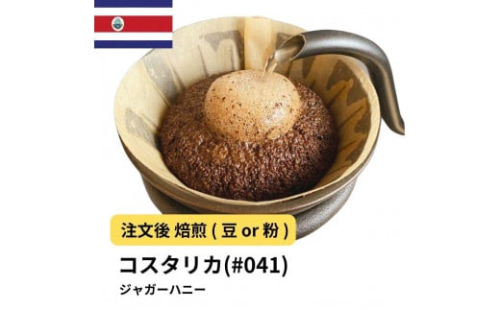 コーヒー #041 コスタリカ FSHB タラス ジャガーハニー 310g 当日焙煎 大山珈琲 （豆または中挽きから選択） 2112559 - 大阪府堺市