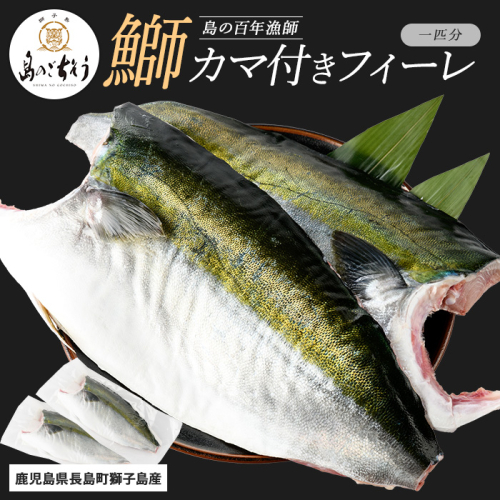 【先行予約】獅子島産 百年漁師の鰤 カマ付きフィーレ２パック (１匹分) 【島のごちそう】gochi-1315 2112560 - 鹿児島県長島町