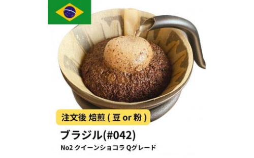 コーヒー #042 ブラジル No2 クイーンショコラ Qグレード 310g 当日焙煎 大山珈琲 （豆または中挽きから選択） 2112561 - 大阪府堺市
