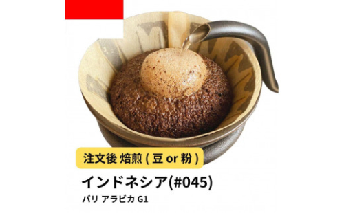 コーヒー #045 バリ アラビカ G1 310g 当日焙煎 大山珈琲 （豆または中挽きから選択） 2112562 - 大阪府堺市