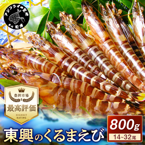 【先行予約】【宅配BOX不可】東興のくるまえび800g入【1月～2月上旬発送】( くるまえび 東興のくるまえび 車海老 海老 エビ )【C8-004-01】 2112575 - 長崎県松浦市