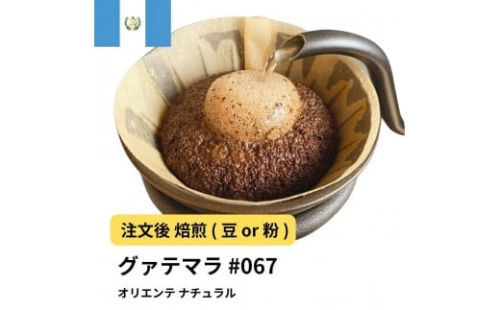 コーヒー #067 グアテマラ オリエンテ ナチュラル 310g 当日焙煎 大山珈琲 （豆または中挽きから選択） 2112578 - 大阪府堺市