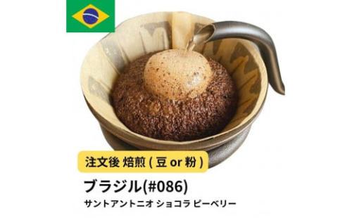 コーヒー #086 エスプレッソ ブラジル サントアントニオ ショコラ ピーベリー 310g 当日焙煎 大山珈琲 （豆または中挽きから選択） 2112597 - 大阪府堺市