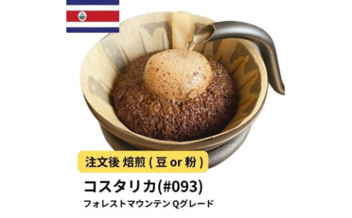 コーヒー #093 コスタリカ フォレストマウンテン Qグレード 310g 当日焙煎 大山珈琲 （豆または中挽きから選択） 2112652 - 大阪府堺市
