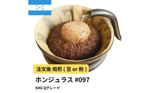 コーヒー #097 ホンジュラス SHG Qグレード 310g 当日焙煎 大山珈琲 （豆または中挽きから選択） 2112654 - 大阪府堺市