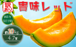 貴味レッドは、外見は貴味メロンとほとんど変わりませんが、果肉がオレンジ色になっています。皮が薄い分、可食部が多く、高めの糖度による甘い味わいが特徴です。たっぷりの果汁とバランスの取れた味わいが癖になる