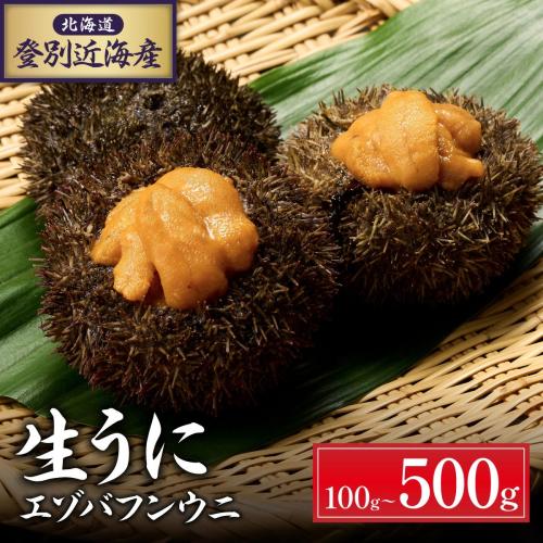 北海道 登別近海産 極上エゾバフンウニ パック詰 500g ※2025年6月よりお届け　 2112752 - 北海道登別市