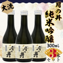 【ふるさと納税】日本酒 純米吟醸 月の井 300ml 3本 セット 旨口 大洗 地酒 つきのい