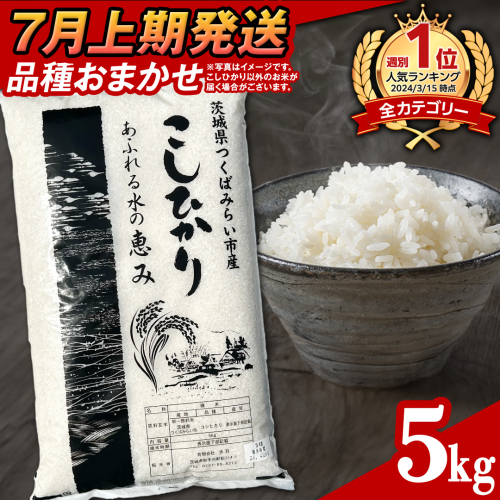 【 7月上期発送 / 数量限定 】茨城県産 精米 5kg (品種おまかせ） 令和6年産 こしひかり 米 コメ こめ 単一米 限定 茨城県産 国産 美味しい お米 おこめ おコメ 2112982 - 茨城県つくばみらい市