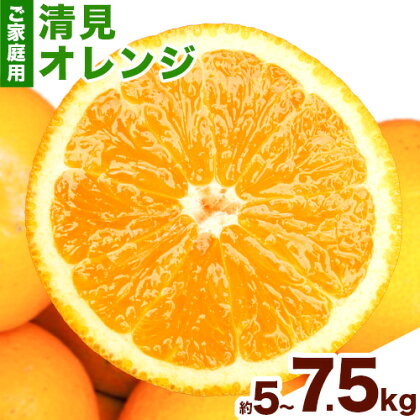 【ご家庭用訳アリ】 紀州有田産清見オレンジ 約5kg 約7.5kg 株式会社魚鶴商店《2026年3月下旬-4月中旬頃出荷》 和歌山県 日高川町 オレンジ 柑橘 ご家庭用 フルーツ 2113051 - 和歌山県日高川町