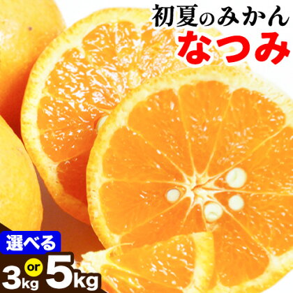 ＜先行予約＞初夏のみかん なつみ 選べる内容量 約 3kg 約 5kg 株式会社 魚鶴商店《2026年4中旬-4月下旬頃出荷》 和歌山県 日高川町 みかん なつみ 南津海 柑橘 果物 フルーツ 送料無料 2113052 - 和歌山県日高川町